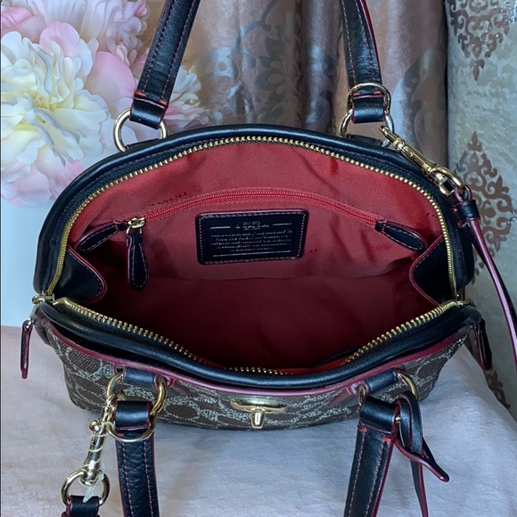 Coach - Picture 4 of 4